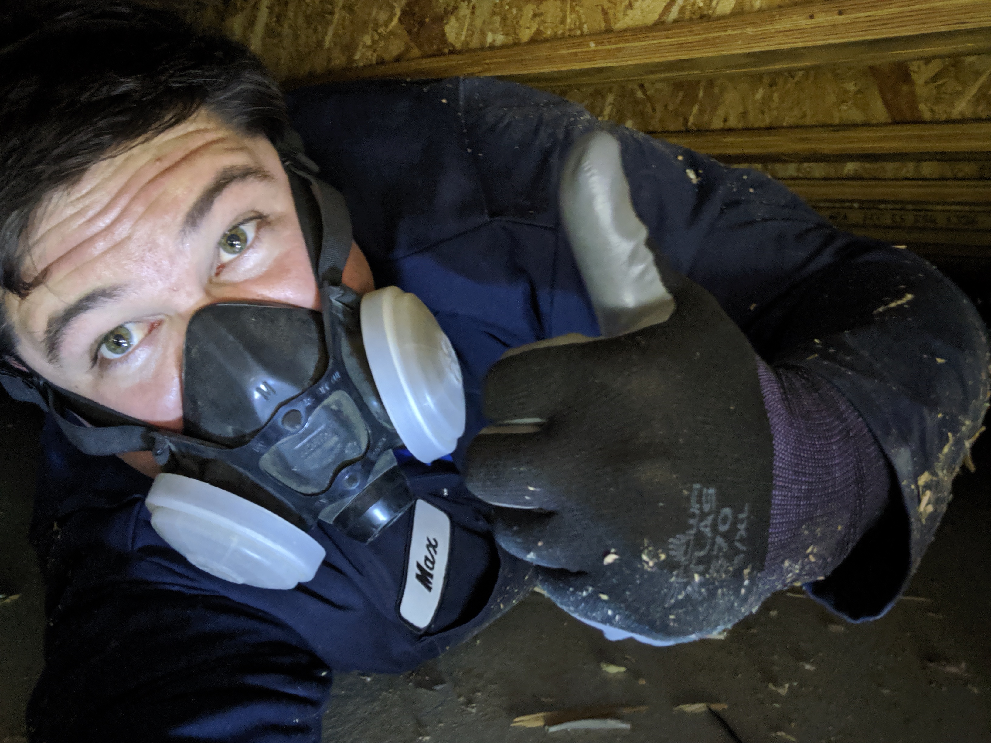 Max Inspecting a Crawlspace
